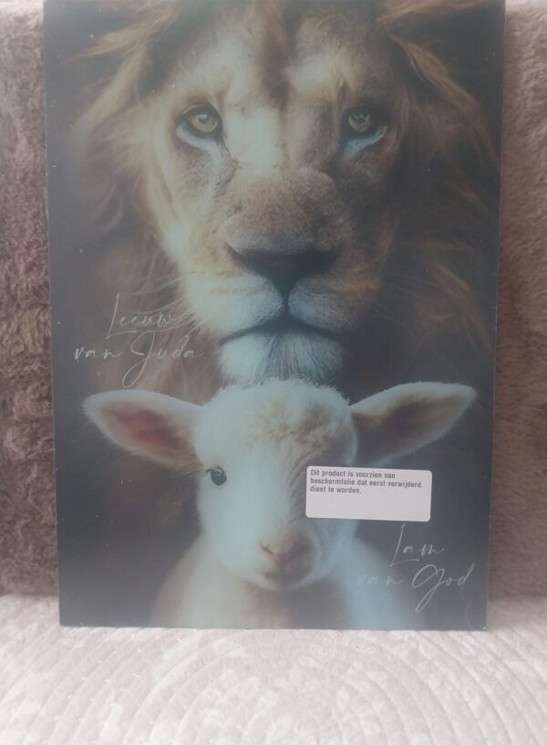 Plexiglas leeuw en lam