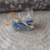 vis blauw 2 Blauwe kaars Ichtus vis