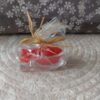 vis rood 2 Rode kaars Ichtus vis