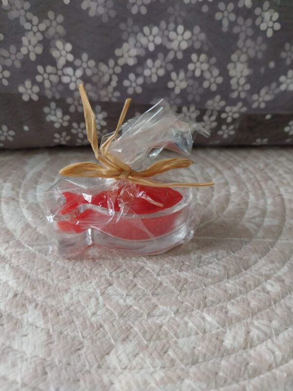 vis rood 2 Rode kaars Ichtus vis